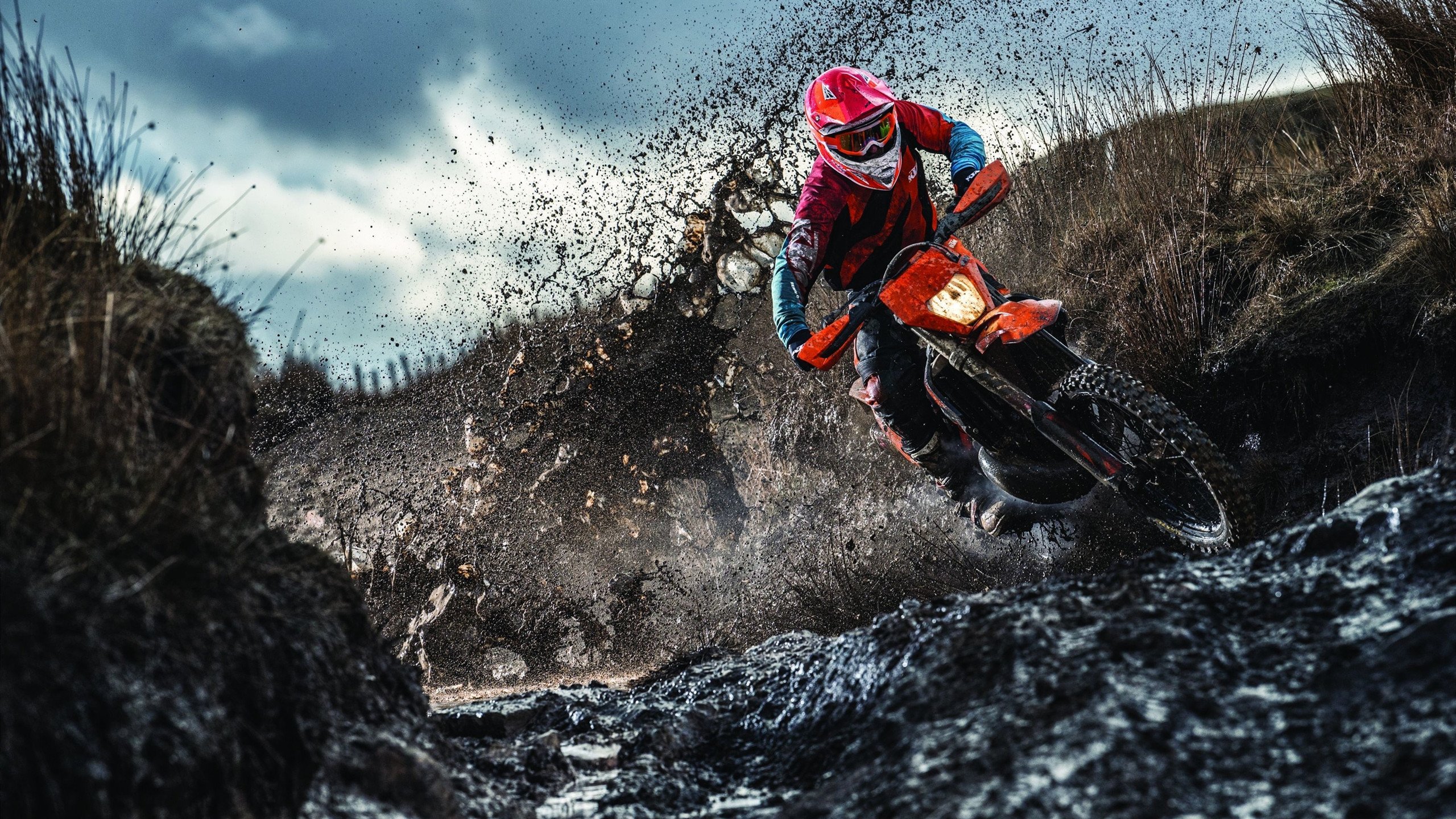 F1新赛季揭幕战之夜，阿劳霍惊艳四座，当巴林的风沙见证新一代车神的崛起